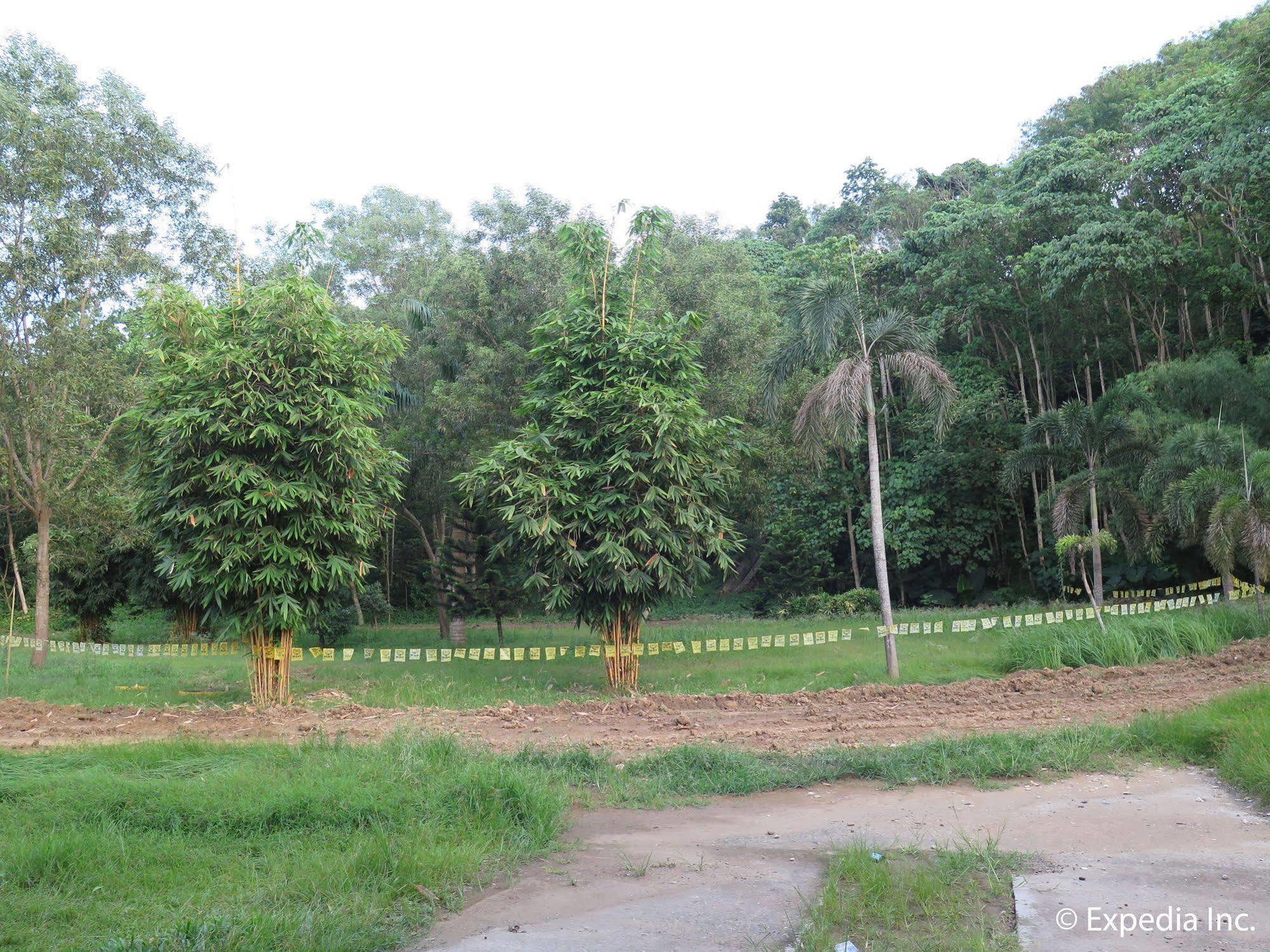 D'Leonor Inland Resort & Adventure Park Davao City Exteriör bild